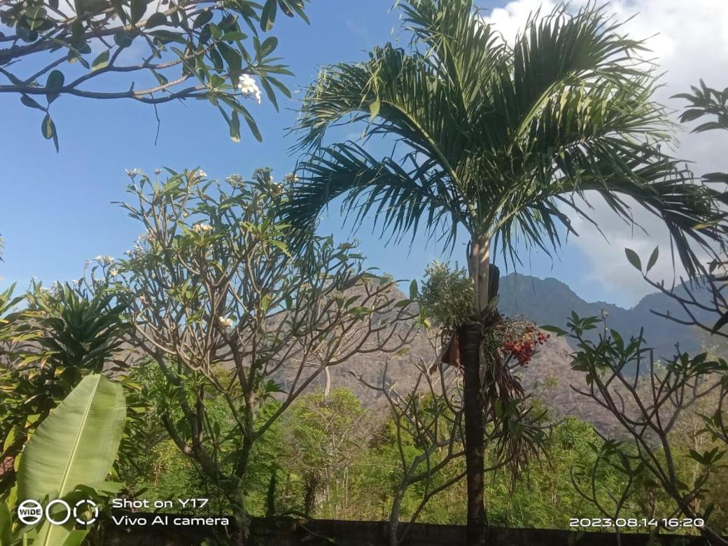 Tirta Bali Homestay Пемутеран Экстерьер фото